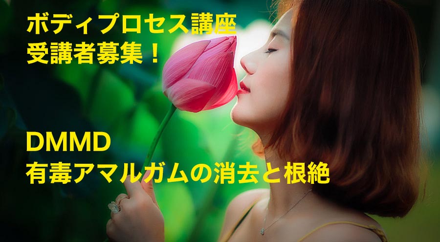 有毒アマルガムの消去と根絶・DMMDボディプロセス講座