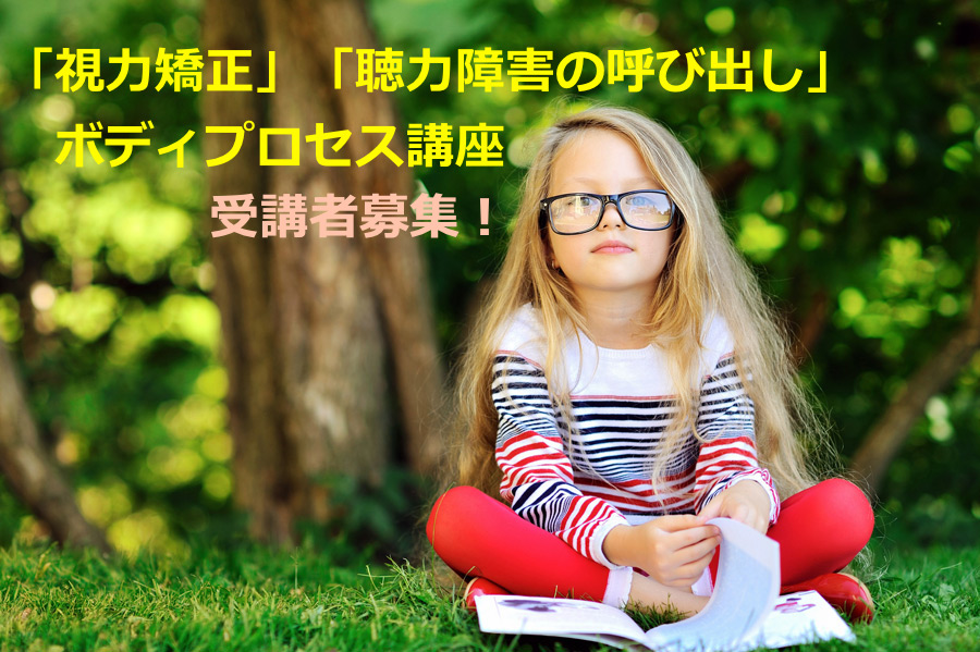 2018年11月16日（金）視力矯正・聴力障害の呼び出し講座