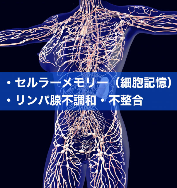 セルラーメモリーとリンパ腺不調和・不整合ボディプロセス講座